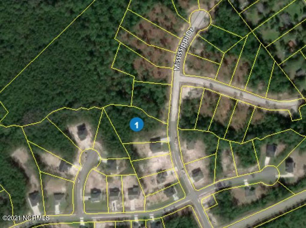 Photo of 117 Mississippi Drive, Rocky Point, NC 28457 (MLS # 100318344)