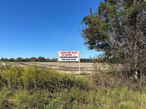 Vacant Land For Sale - 20945 Georgia 46<br/> Bulloch County, Pembroke, GA 31321