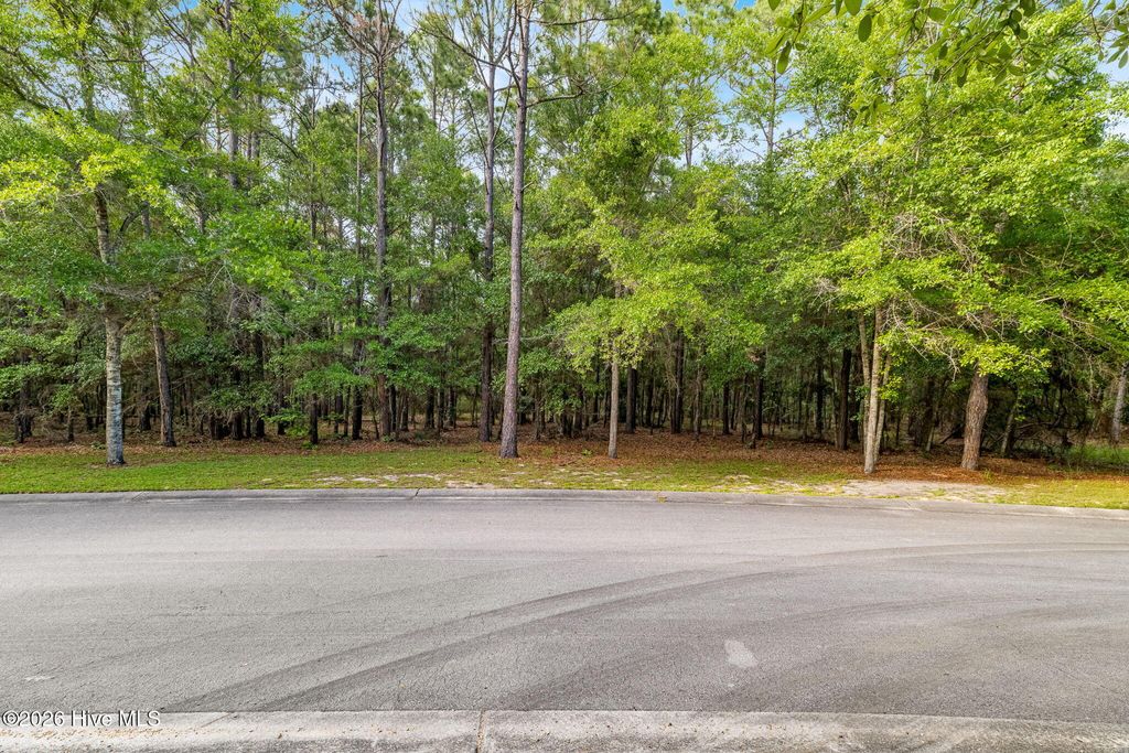 Photo of 2912 Cartagena Passage SE, Bolivia, NC 28422 (MLS # 100574317)