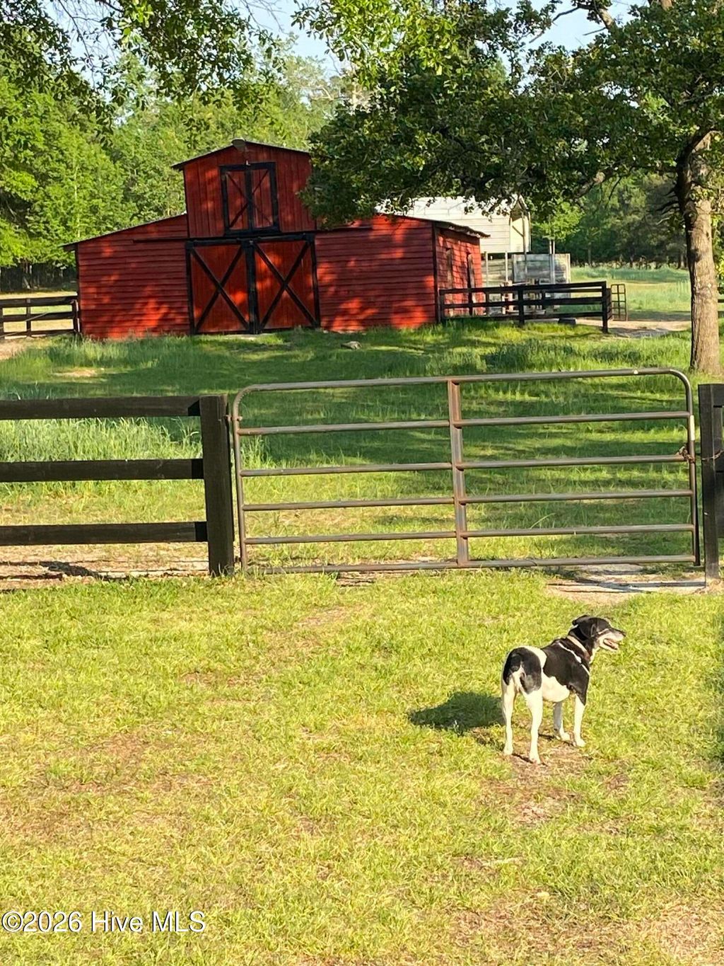 Photo of 449 Montrose Road, Raeford, NC 28376 (MLS # 100557771)