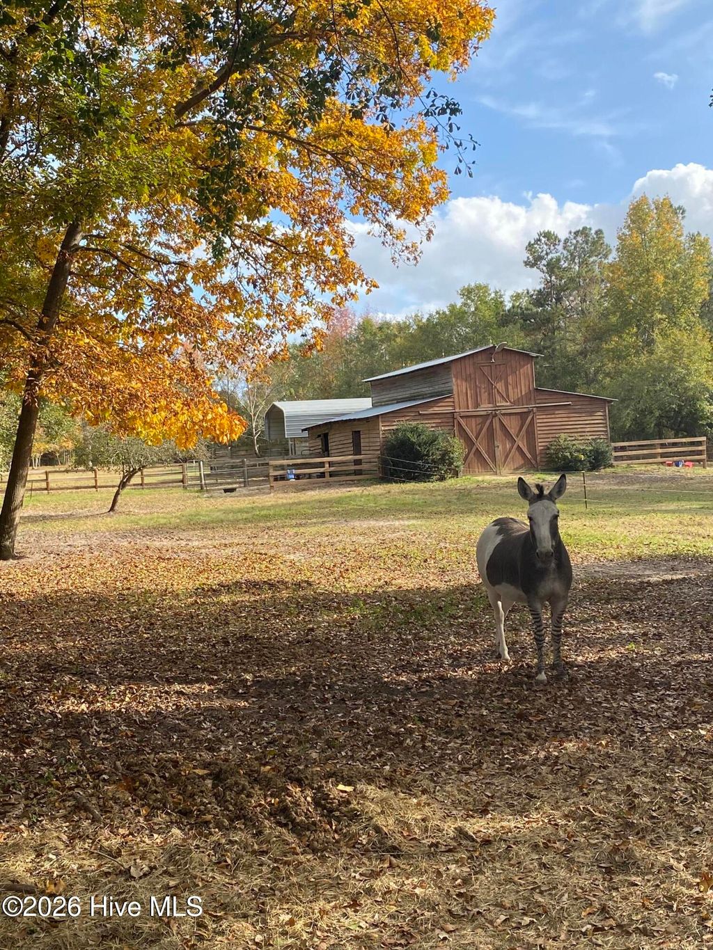 Photo of 449 Montrose Road, Raeford, NC 28376 (MLS # 100557771)