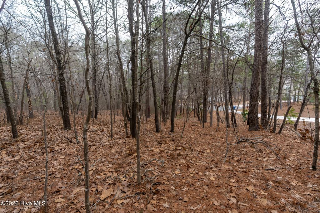 Photo of 102 Ramsgate Court, Seven Lakes, NC 27376 (MLS # 100558404)