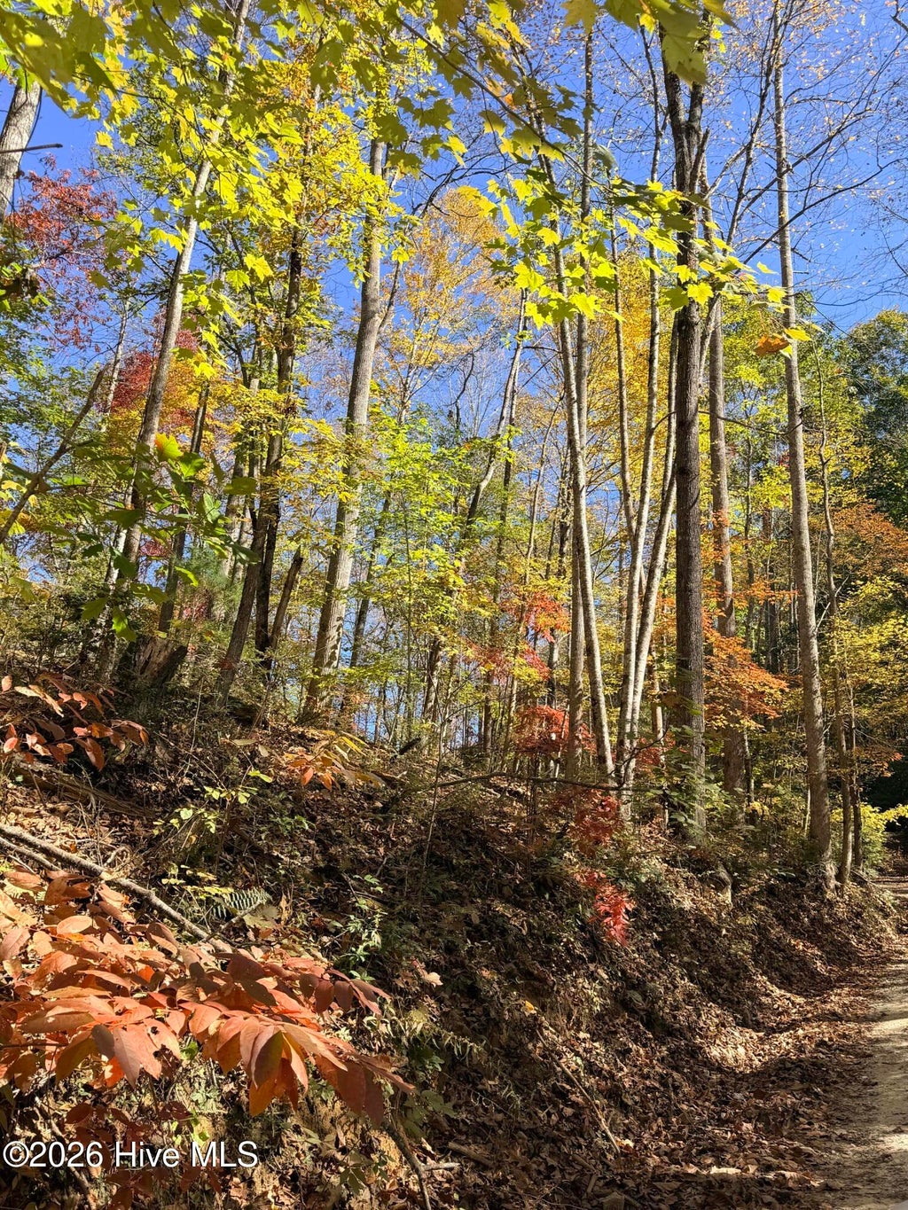 Photo of 6 Rhododendron Drive Drive, Topton, NC 28781 (MLS # 100612209)