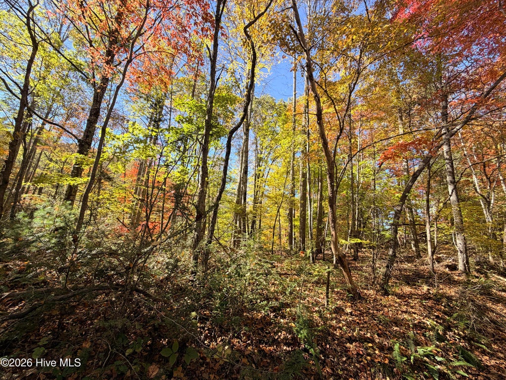 Photo of 6 Rhododendron Drive Drive, Topton, NC 28781 (MLS # 100612209)