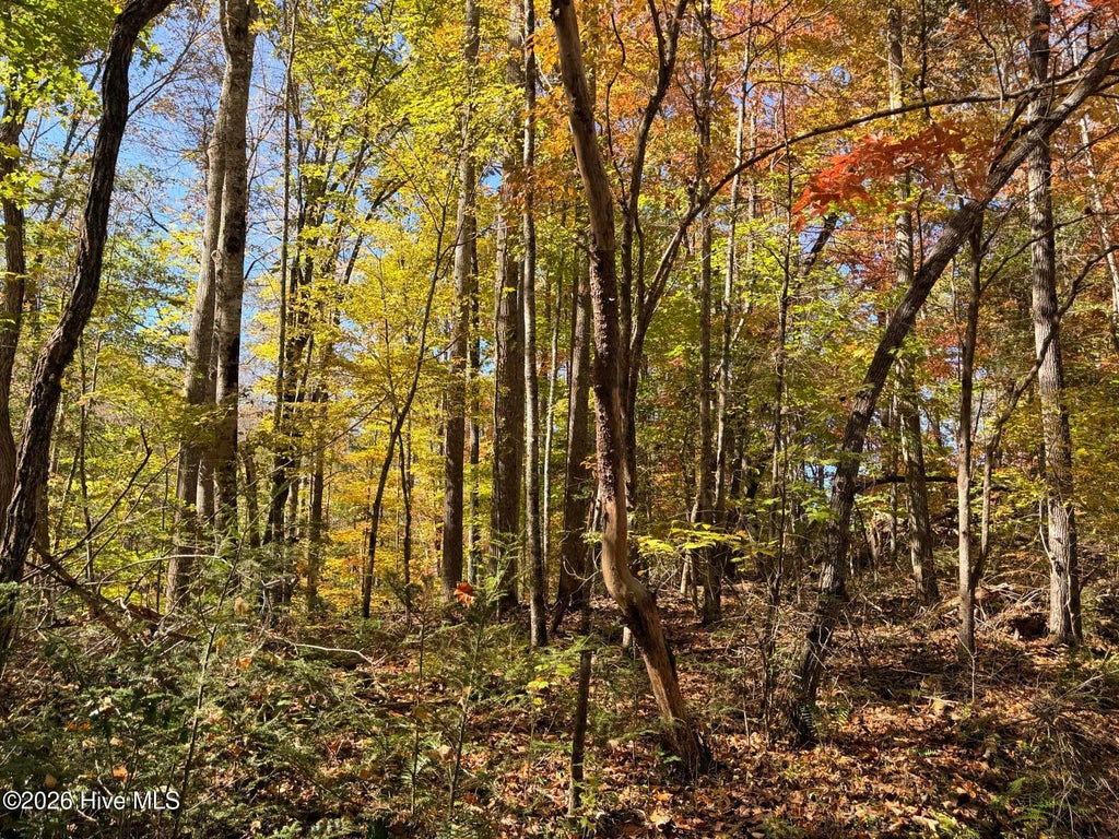 Photo of 6 Rhododendron Drive Drive, Topton, NC 28781 (MLS # 100612209)
