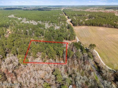 Tiny photo for 1 Page Road, Burgaw, NC 28425 (MLS # 100560501)
