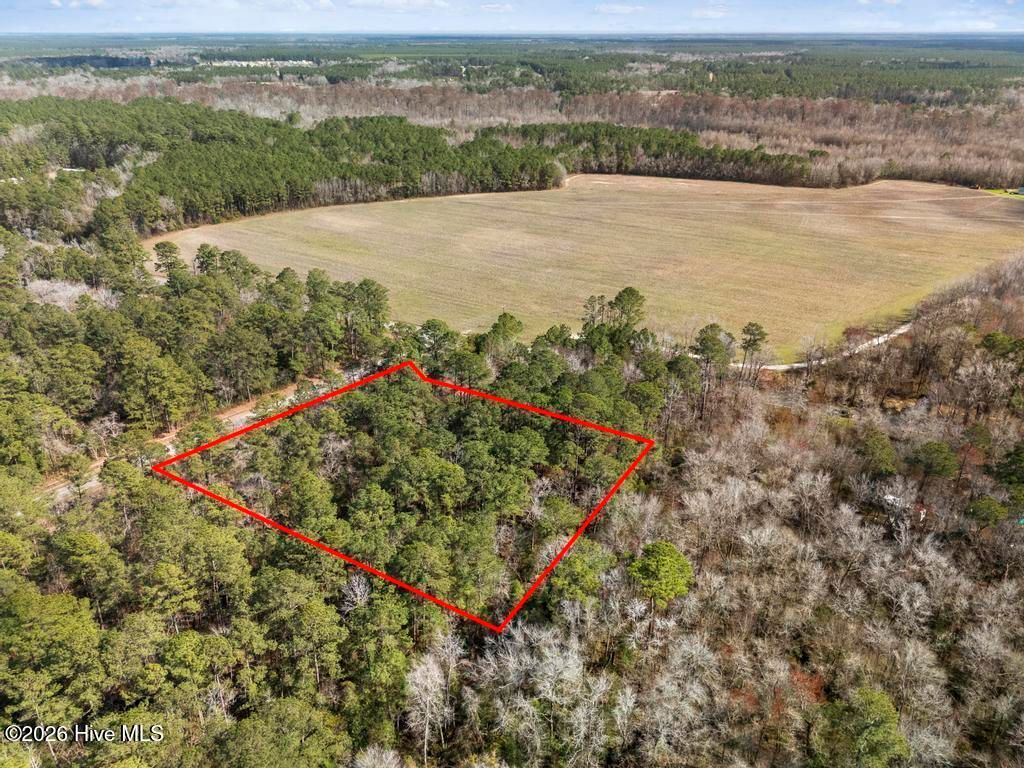 Photo of 1 Page Road, Burgaw, NC 28425 (MLS # 100560501)