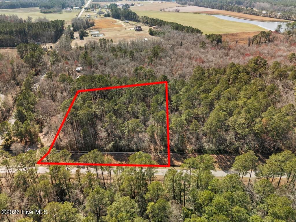 Photo of 1 Page Road, Burgaw, NC 28425 (MLS # 100560501)