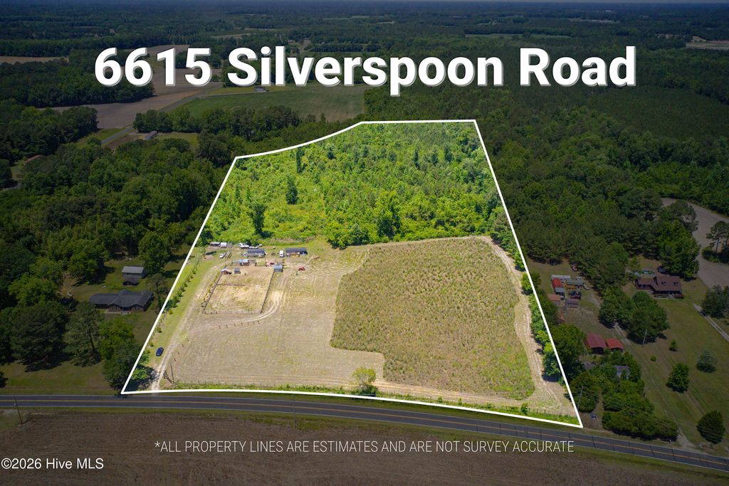 Photo of 6615 Silver Spoon Road, Clarkton, NC 28433 (MLS # 100576375)
