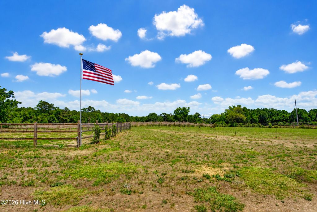 Photo of 6615 Silver Spoon Road, Clarkton, NC 28433 (MLS # 100576375)