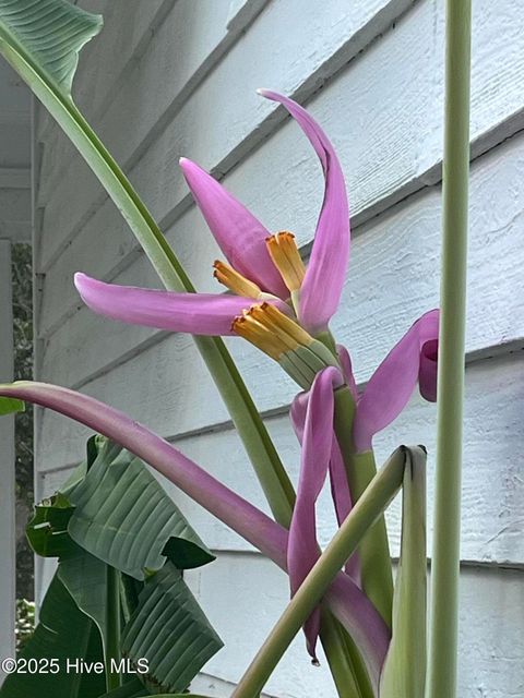 Tiny photo for 318 Buccaneer Road, Wilmington, NC 28409 (MLS # 100521049)