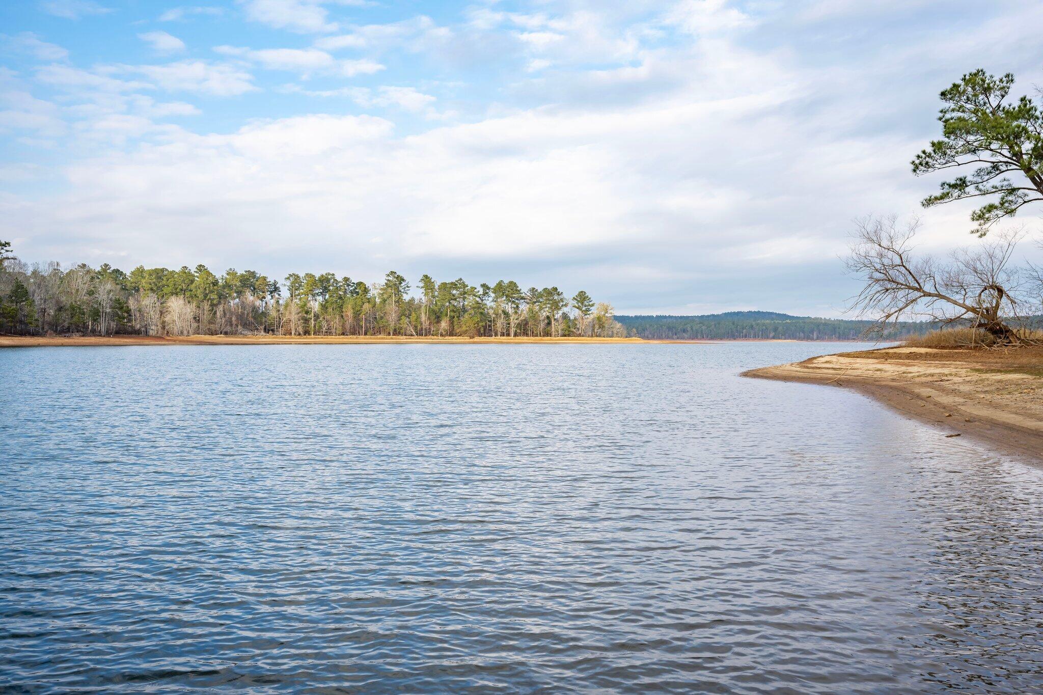 1155 Maiden Cane Way