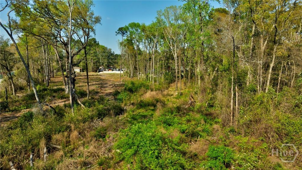 Photo of 2502 Staley Avenue, Savannah, GA 31405 (MLS # SA351912)