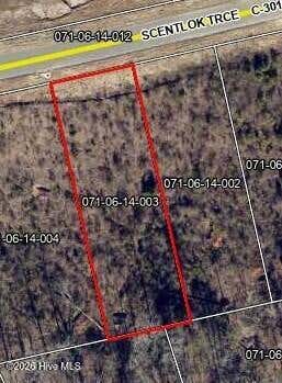 Photo of 113 Scentlok Trace, Warrenville, SC 29851 (MLS # 100595642)