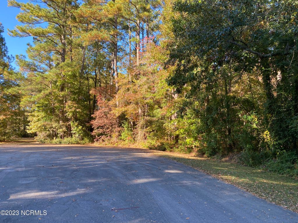 Photo of 205 Culpeper Road, New Bern, NC 28562 (MLS # 100504386)