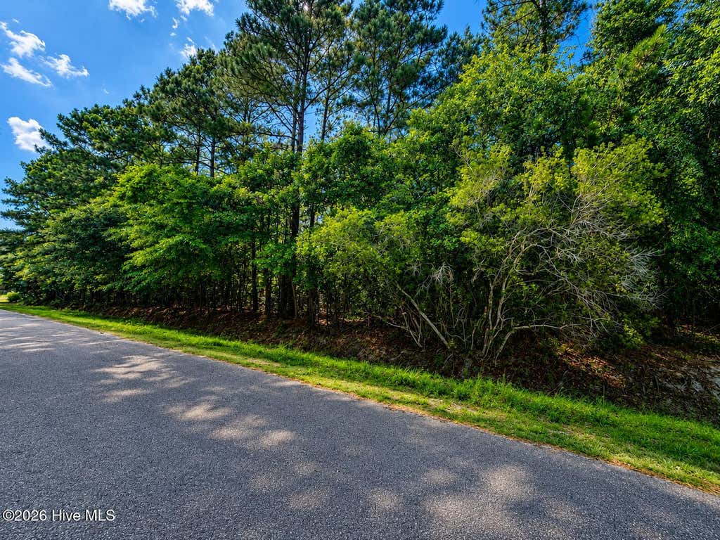 Photo of 225 Pages Creek Drive, Wilmington, NC 28411 (MLS # 100587695)