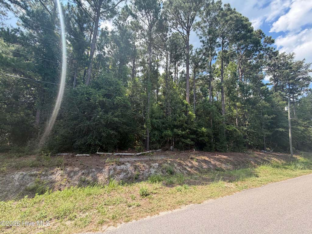 Photo of 225 Pages Creek Drive, Wilmington, NC 28411 (MLS # 100587695)