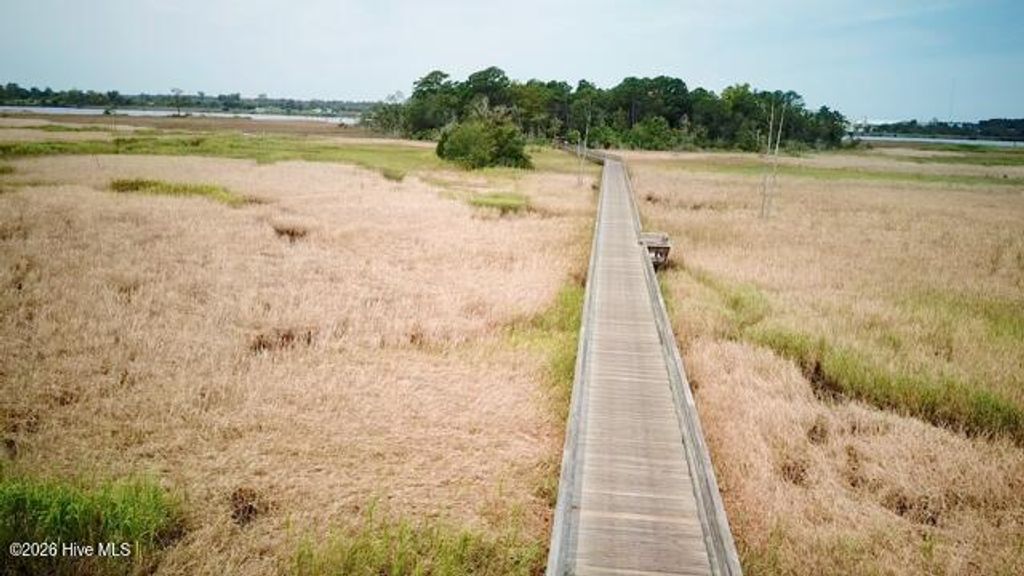 Photo of 1637 Riverview Terrace, Wilmington, NC 28401 (MLS # 100552456)