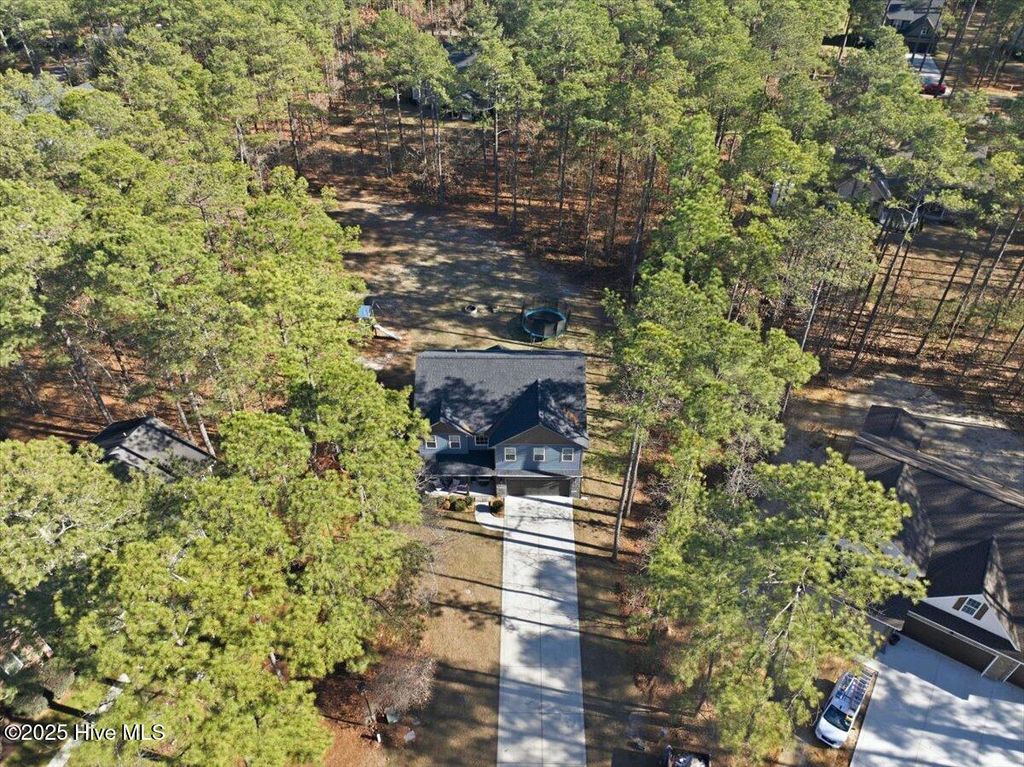 Photo of 28961 Pinedale Court, Wagram, NC 28396 (MLS # 100545965)