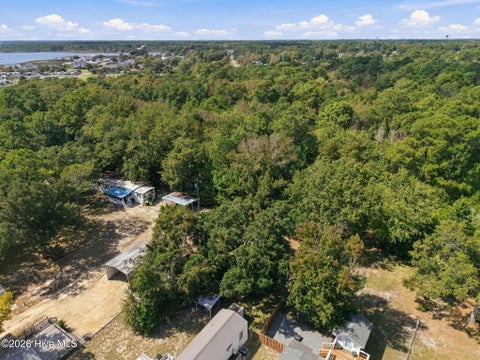 Tiny photo for 551 Little Kinston Road, Surf City, NC 28445 (MLS # 100608392)
