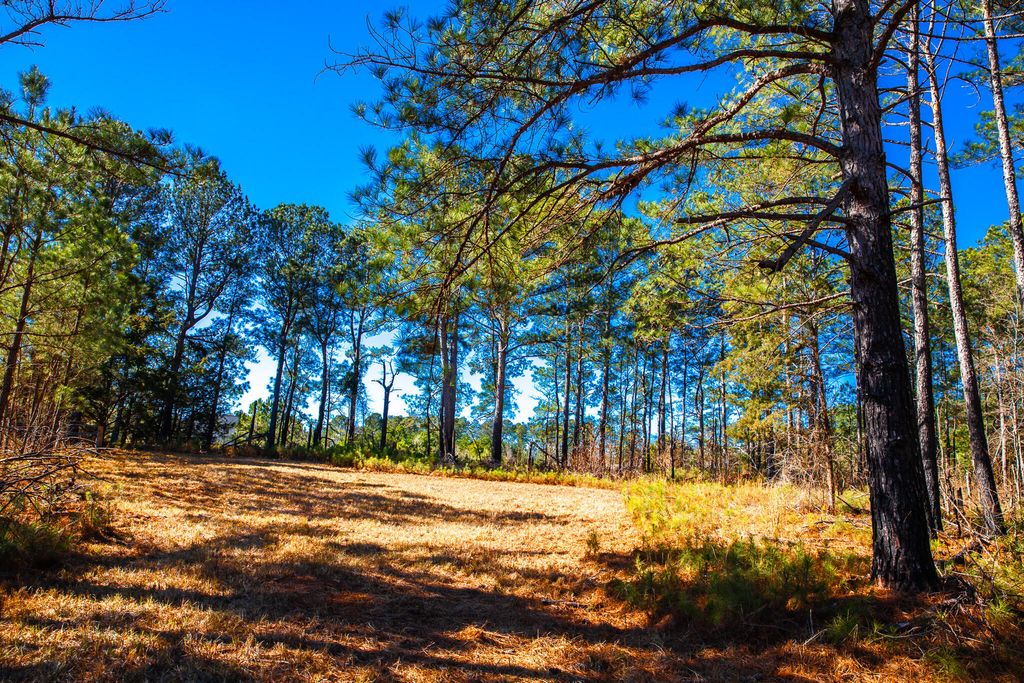Photo of 6978 Moontown Drive, Appling, GA 30802 (MLS # 551075)