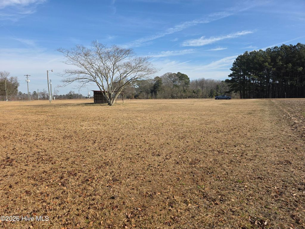 Photo of 3109 Grimsley Farm Road, Bladenboro, NC 28320 (MLS # 100549060)