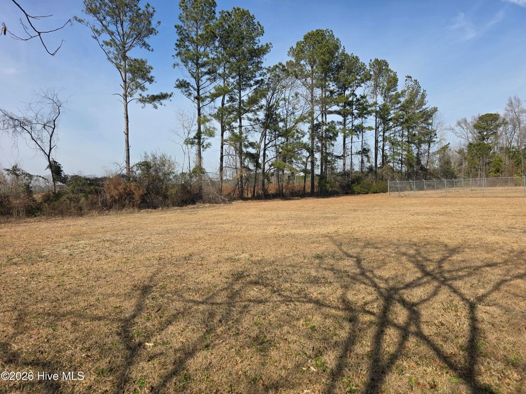 Photo of 3109 Grimsley Farm Road, Bladenboro, NC 28320 (MLS # 100549060)