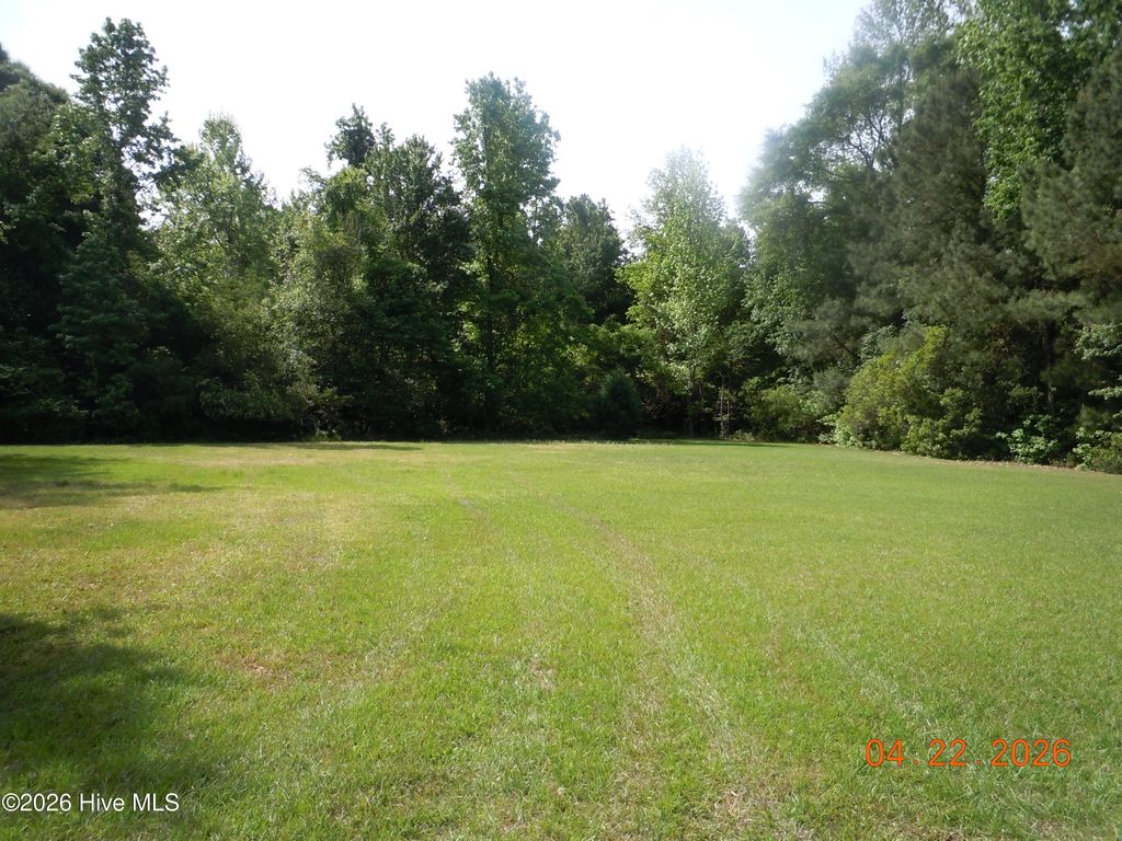 Photo of 210 Canal Street, Tabor City, NC 28463 (MLS # 100568770)