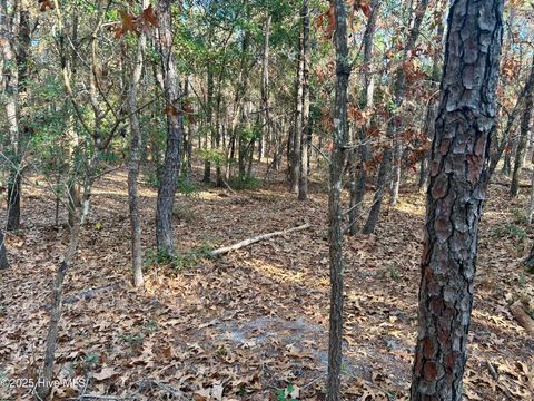 Tiny photo for 2905 N Magellan Boulevard SE, Bolivia, NC 28422 (MLS # 100545172)