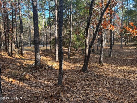 Tiny photo for 2905 N Magellan Boulevard SE, Bolivia, NC 28422 (MLS # 100545172)