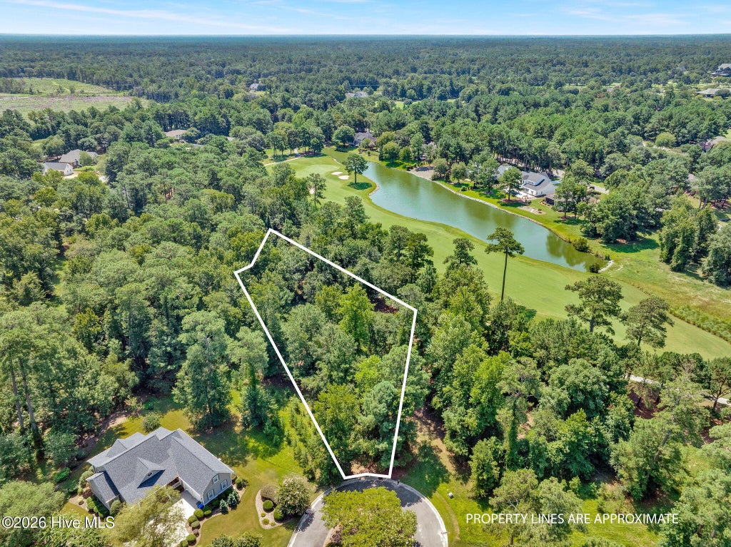 Photo of 202 Firefly Drive, Wallace, NC 28466 (MLS # 100594019)