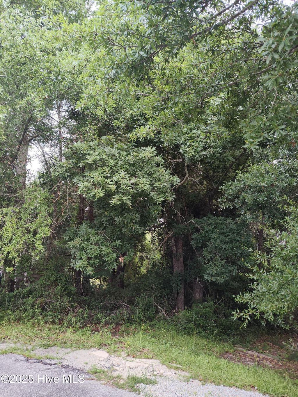 Photo of 106 Taylor Lane, Hubert, NC 28539 (MLS # 100515363)