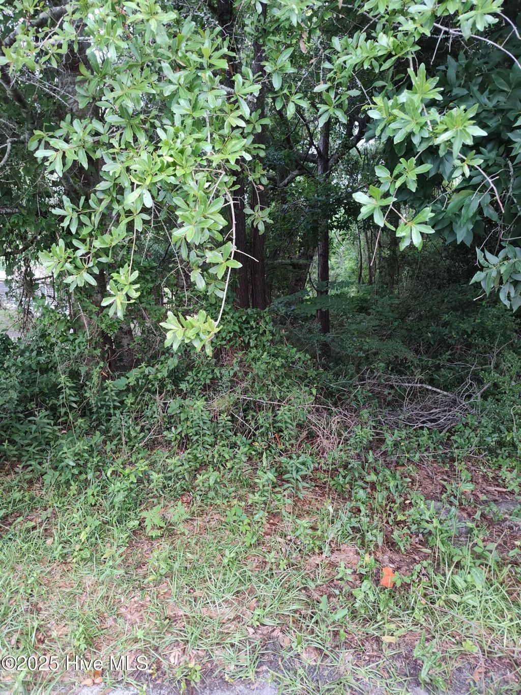 Photo of 106 Taylor Lane, Hubert, NC 28539 (MLS # 100515363)