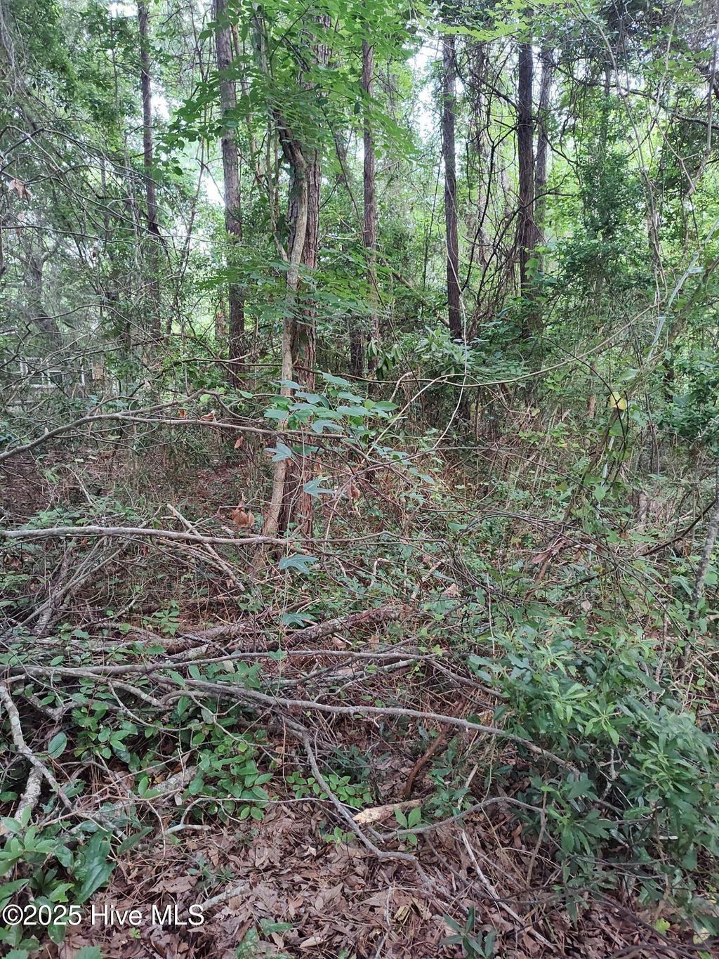 Photo of 106 Taylor Lane, Hubert, NC 28539 (MLS # 100515363)