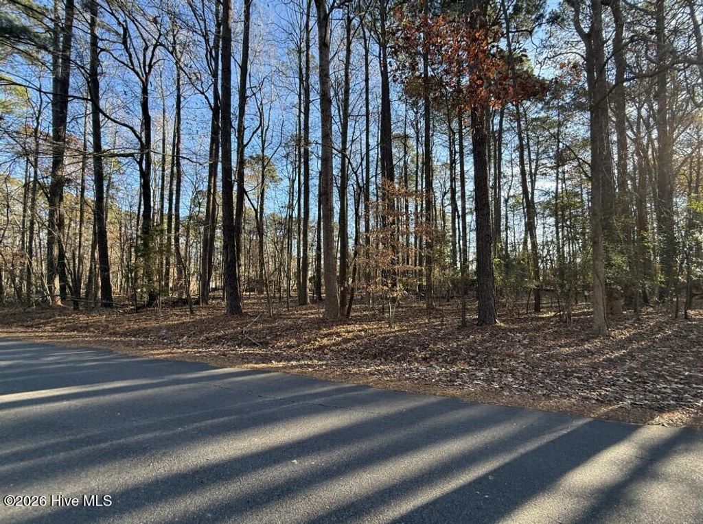 Photo of 18 Comanche Avenue, Hertford, NC 27944 (MLS # 100547465)