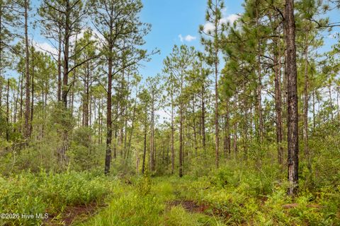 Tiny photo for 2 Hwy 17 Off, Hampstead, NC 28443 (MLS # 100574826)