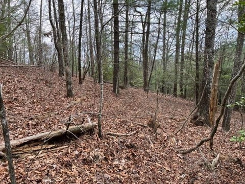 Vacant Land For Sale - LOT 33 Sahkanaga Drive<br/> Murphy, NC 28906