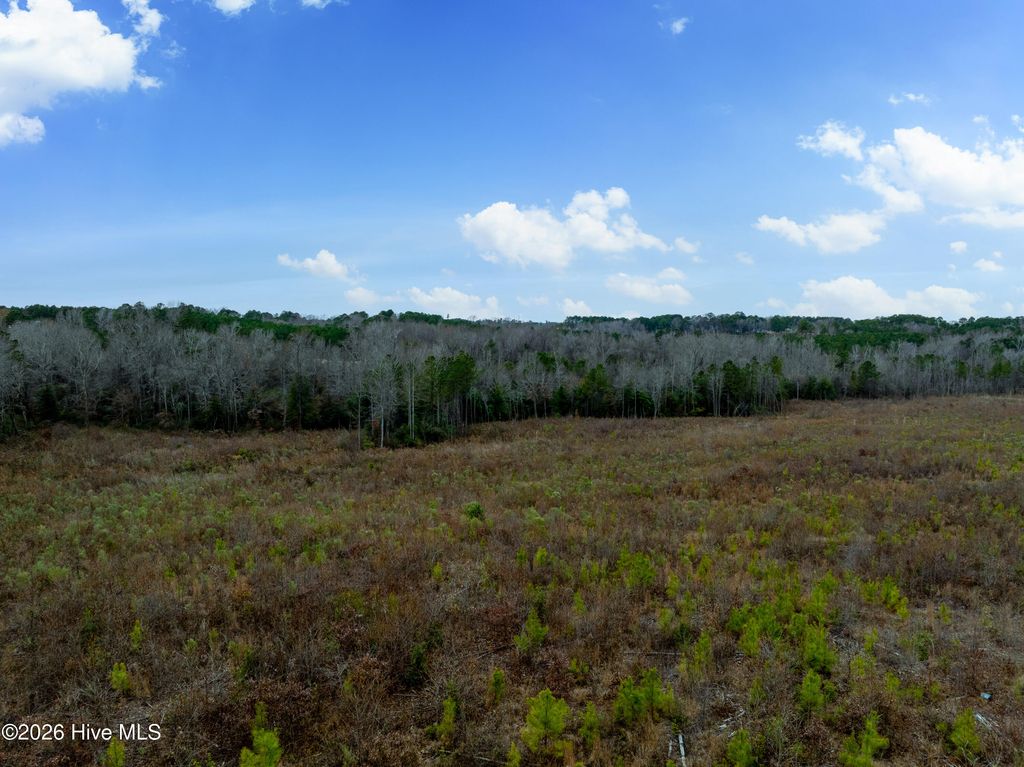 Photo of 0 Memory Lane, Benson, NC 27504 (MLS # 100543717)