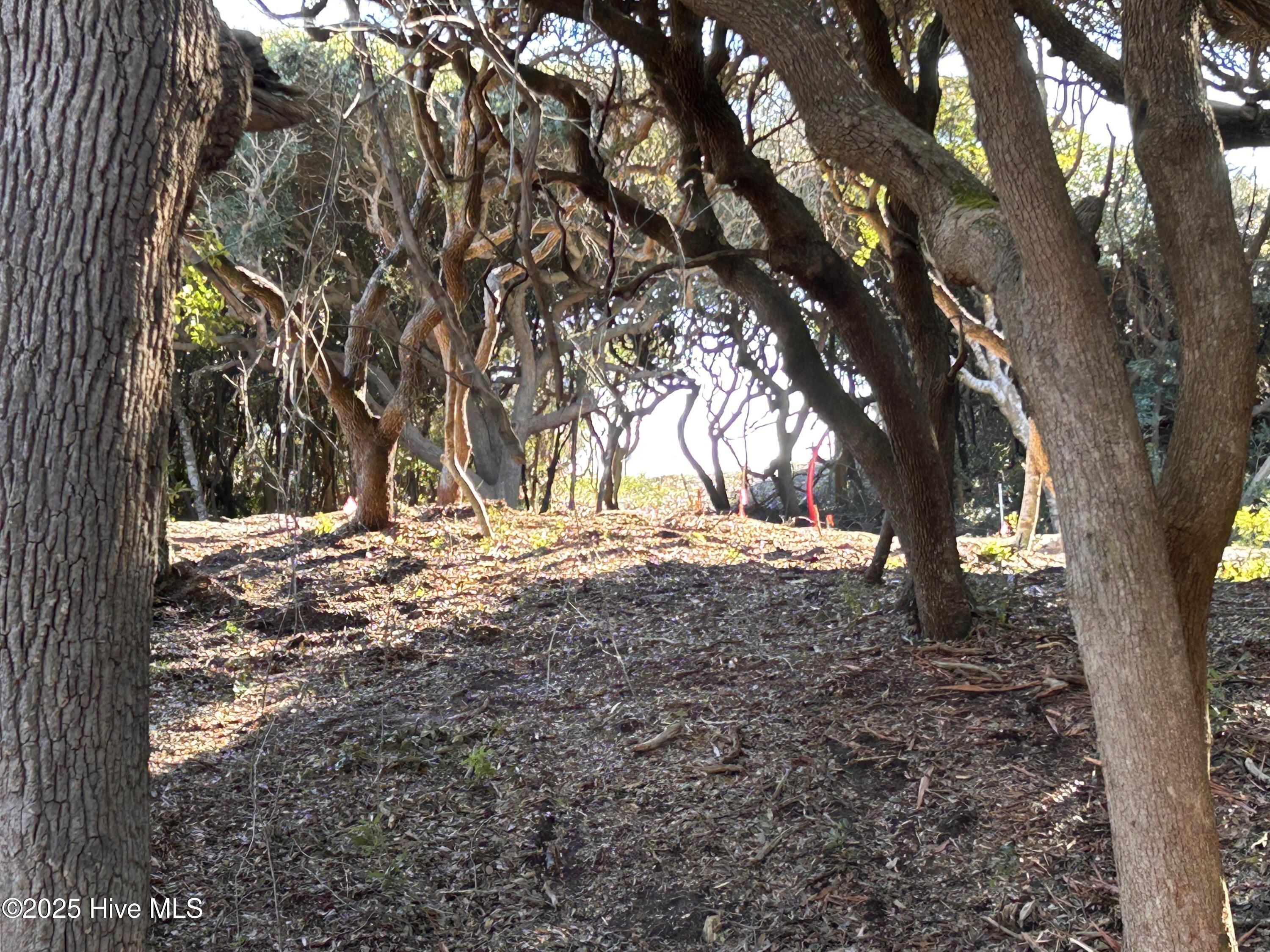 102 102 Roosevelt Reserve Park Place