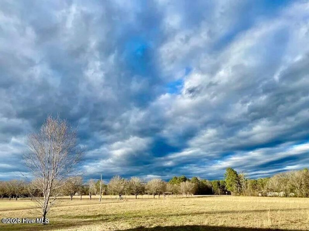 Photo of Tbd Hamer Mill Road, Rockingham, NC 28379 (MLS # 100556113)