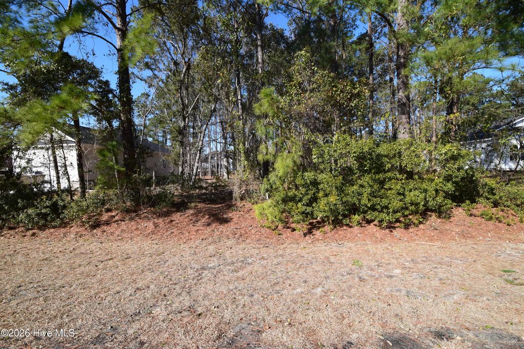 Photo of 917 Sea Holly Court, New Bern, NC 28560 (MLS # 100554528)