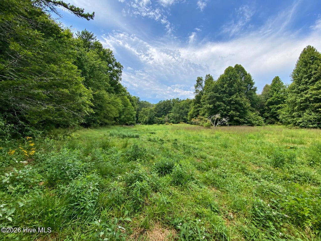 Photo of 100 Eva Mae Lane, Murphy, NC 28906 (MLS # 100605085)