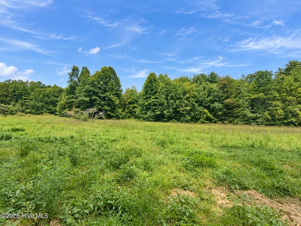 Photo of 100 Eva Mae Lane, Murphy, NC 28906 (MLS # 100605085)
