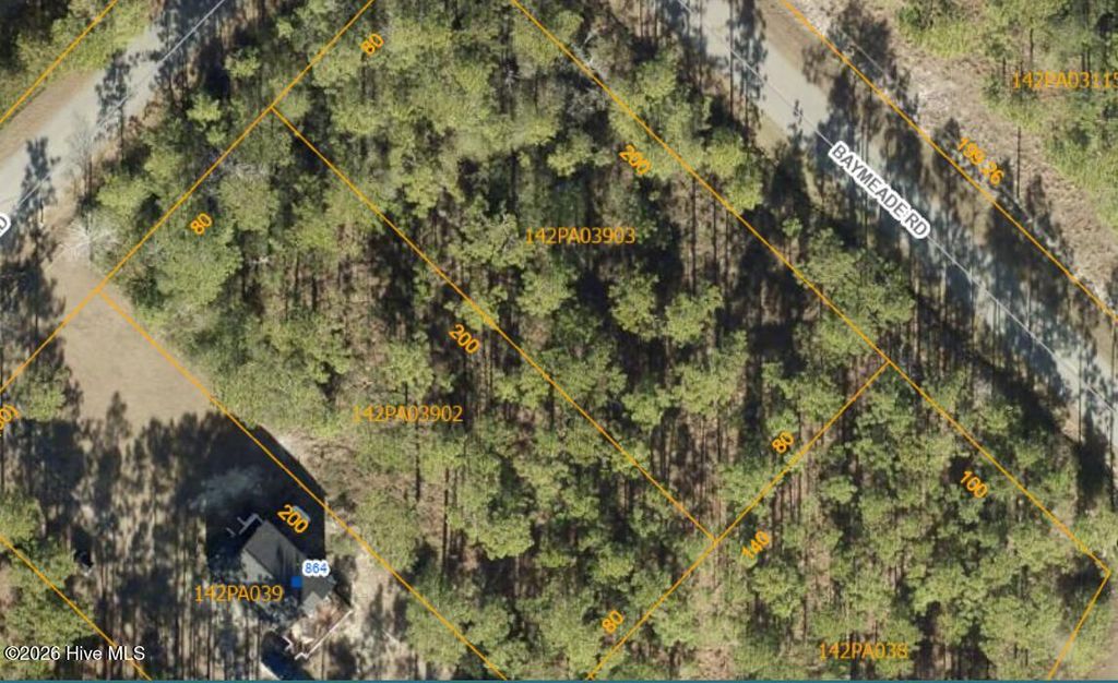 Photo of 7071 Sweetbrier Road, Boiling Spring Lakes, NC 28461 (MLS # 100549553)