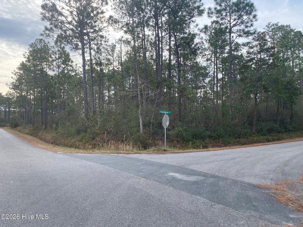 Photo of 7071 Sweetbrier Road, Boiling Spring Lakes, NC 28461 (MLS # 100549553)