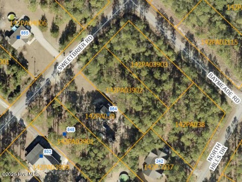 Vacant Land For Sale - L-70&L-71 Sweetbrier Road<br/> Boiling Spring Lakes, NC 28461