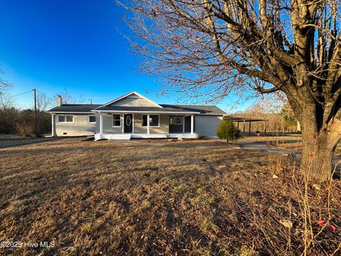 Photo of 436 Hanner Town Road, Bear Creek, NC 27207 (MLS # 100546646)