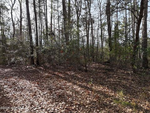 Tiny photo for 519 Winding Branch Road, Hampstead, NC 28443 (MLS # 100556316)