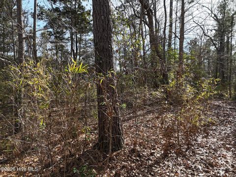 Tiny photo for 519 Winding Branch Road, Hampstead, NC 28443 (MLS # 100556316)