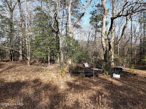 Tiny photo for 519 Winding Branch Road, Hampstead, NC 28443 (MLS # 100556316)